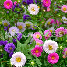 շNӻNļ׻ذ¾շNͥԺ̨ԻN