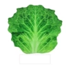 Ymtdlj-lettuce