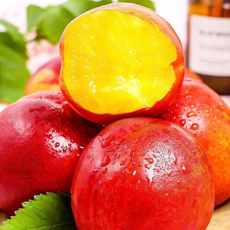 Shandong Yellow-Fleshed Nectarines, Fresh and Freshly Picked Seasonal Fruits for Pregnant Women, Yellow-Fleshed, Crispy, Sweet, Juicy and Thin-Skinned First-Crop Peaches 2.5kg