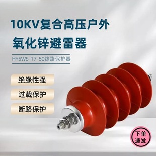 10KV zinc oxide lightning arrester HY5WS-17/50 outdoor high voltage silicone rubber composite insulation detachable decoupling