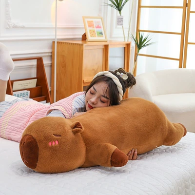 Sofa Living Room Cushion — Oyuncaq yastıqlar