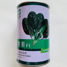 菠菜种子神禾墨菲耐寒耐热抗病质嫩无涩味柔韧性好易捆扎菠菜种子