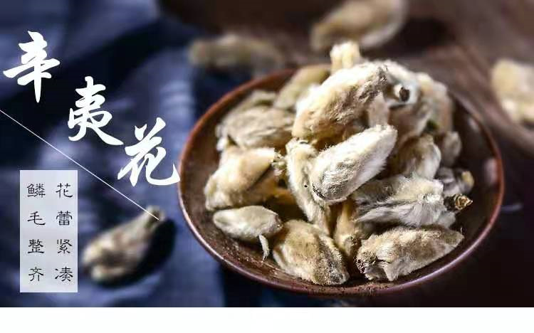 Xin Yi Hua (Magnolia biondii) — Dried Food-Herb Flower Buds for Tea, Soup & Spice Blends overview