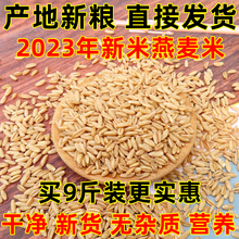 新米燕麦米2023年纯生裸燕麦仁粒莜麦全胚芽米10杂粮商用内蒙古斤