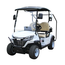 电动观光车;高尔夫球车;高尔夫车