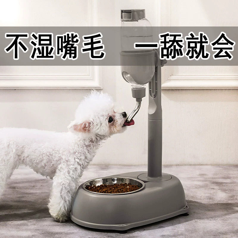 宠博士防倒立杆饮水器悬挂喂食碗喂水猫咪狗狗喝水器不湿嘴带吸盘