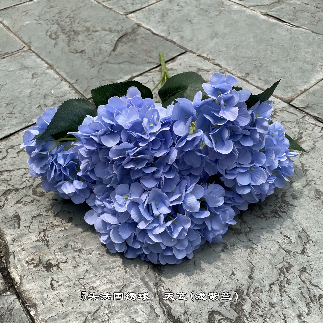 微信图片_202108081350467_副本