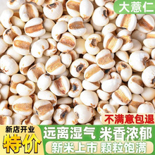 �F�ݴ�޲����������޲������s�ZŴ��޲�������С����򶹝{����