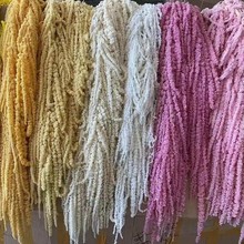 ���������� ����������ϻ��خa�ذ��]�Fժ�r���r�б�����ڸɻ�