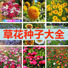 ҰMϷNļNNӸɣ׻׷N^pܻ