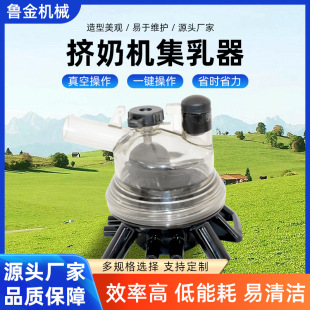 �D�̙C��������� �����Bֳ�O����ձ��B�w���M�ɼ��� ���������l