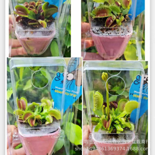 ��ω���i�\��ʳ�x��ʳ�˻���òݲ��ò�ʳ�òݶYƷ���x��Ȥζ����