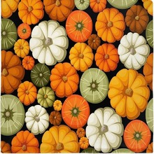 ϹϷmqë̺ ɳlwSܛmpA̺