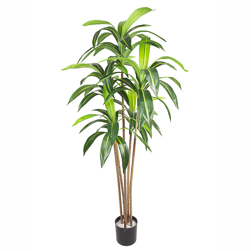 European-style light luxury articial brazilwood green plan