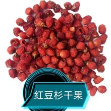 中药材红豆杉果实 南方红豆杉果实干 各种冷背中药材 支持药检
