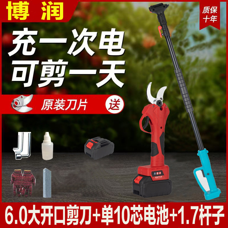 プロの国境を越えた電動剪定鋏、リチウム電池剪定鋏、庭の果樹の果実の枝はさみ、園芸の枝剪定電動工具|undefined