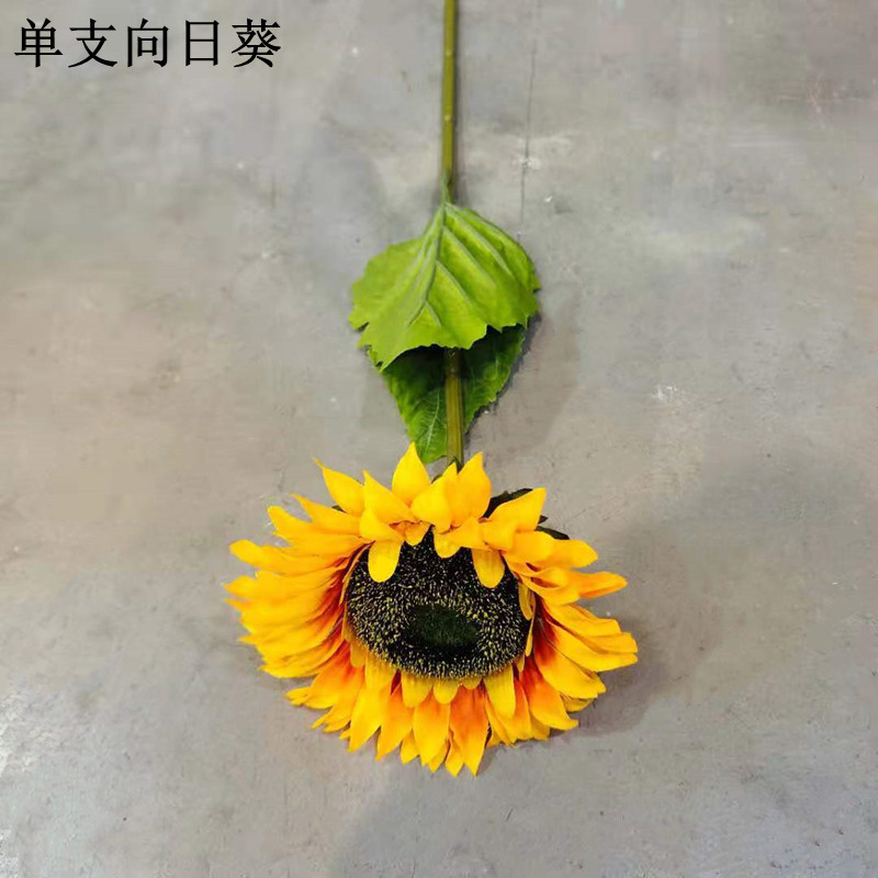 Single head sunflower