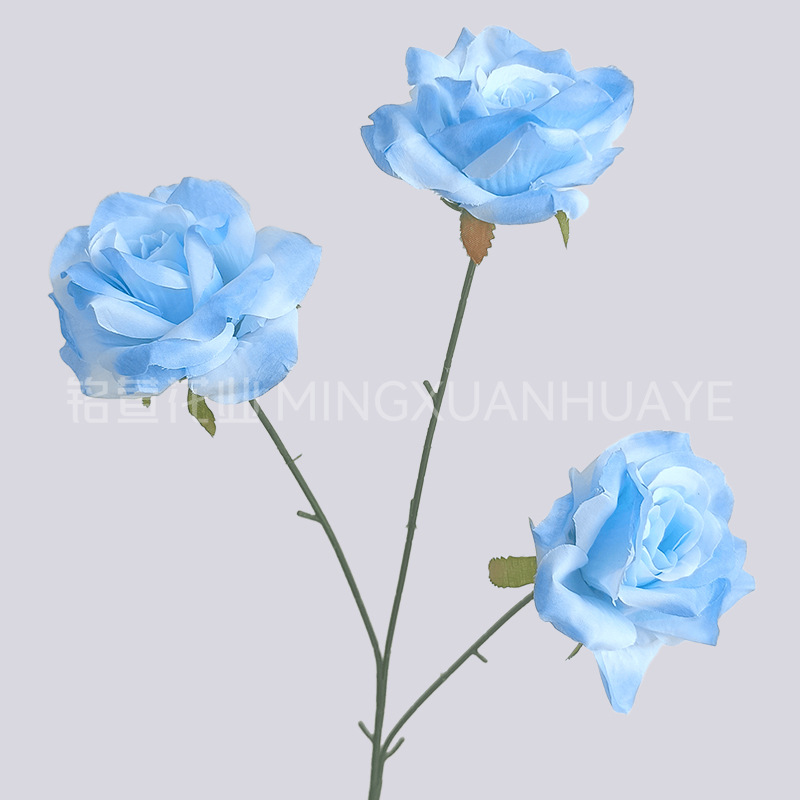 3헤드 다이아몬드 로즈 잎 없음 - 블루 08#