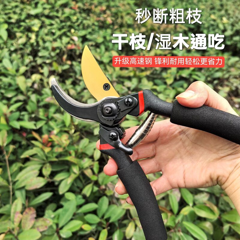 Factory Direct Sales of Powerful Pruning Shears, Labor-Saving Garden Shears, Thick Branch Shears, Heavy-Duty Shears, Multifunctional Foreign Trade Manual Tools Factory Direct Sales of Powerful Pruning Shears, Labor-Saving Garden Shears, Thick Branch Shears, Heavy-Duty Shears, Multifunctional Foreign Trade Manual Tools