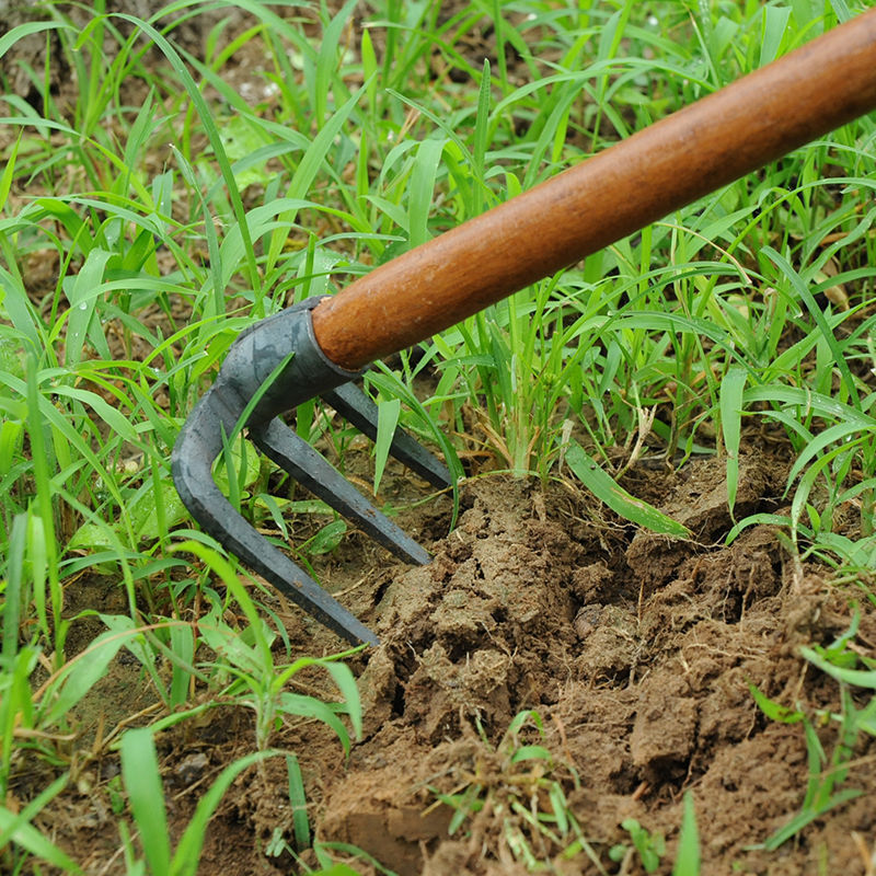 B9A0E6CEE72F97B78C6A1CD89CBFBC