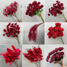 ��c��Y��ˇ�tɫ���ı����b廨õ���ȼ������҃ȿ͏d�[�O