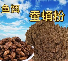 ~QӼ~DDTD~DCҰឺڿӝODڿӌ