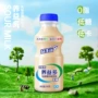 风味340g大瓶乳酸菌饮料