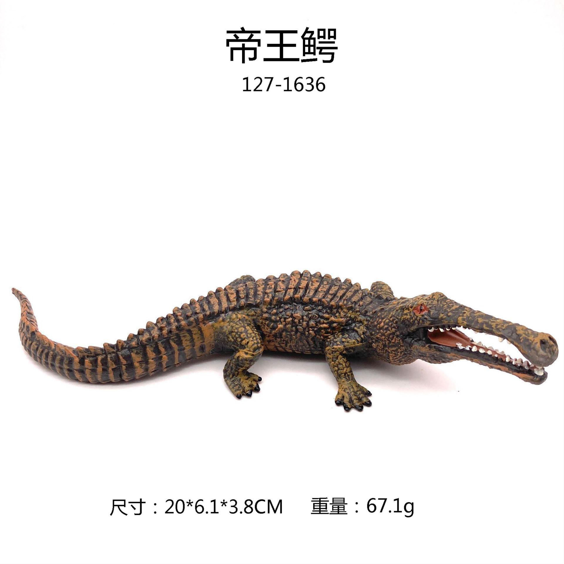 127-1636 King Crocodile 67.1g