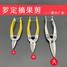 ����̽�ͨ�ò�ժ�����P䓲ɹ������߹�֦�l��֦��