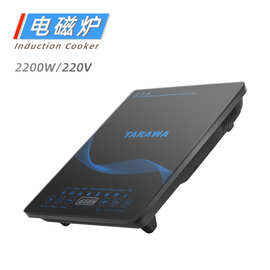 跨境电磁炉智能触屏110V/220V家用小型火锅炖煮多功能电热炉批发