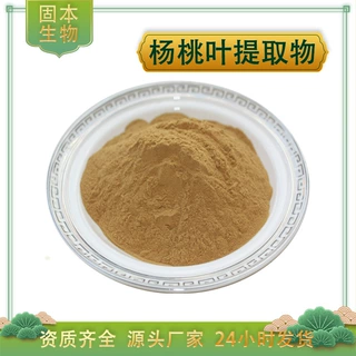 杨桃叶提取物水溶杨桃叶粉杨桃叶黄酮杨桃树叶/阳桃叶提取物包邮