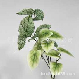 10头彩芋叶仿真绿植婚庆插花婚礼堂装饰莫奈花园风咖啡店酒店装饰