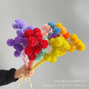 �L܇�����x���������ɻ�diy���ϼҾӻ�Y�b��Ĕz���߿羳���l