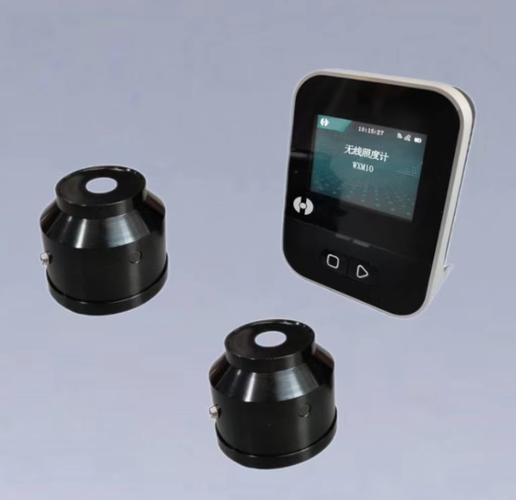 WXM10型无线照度计 无线照度计 WXM10 双通道
