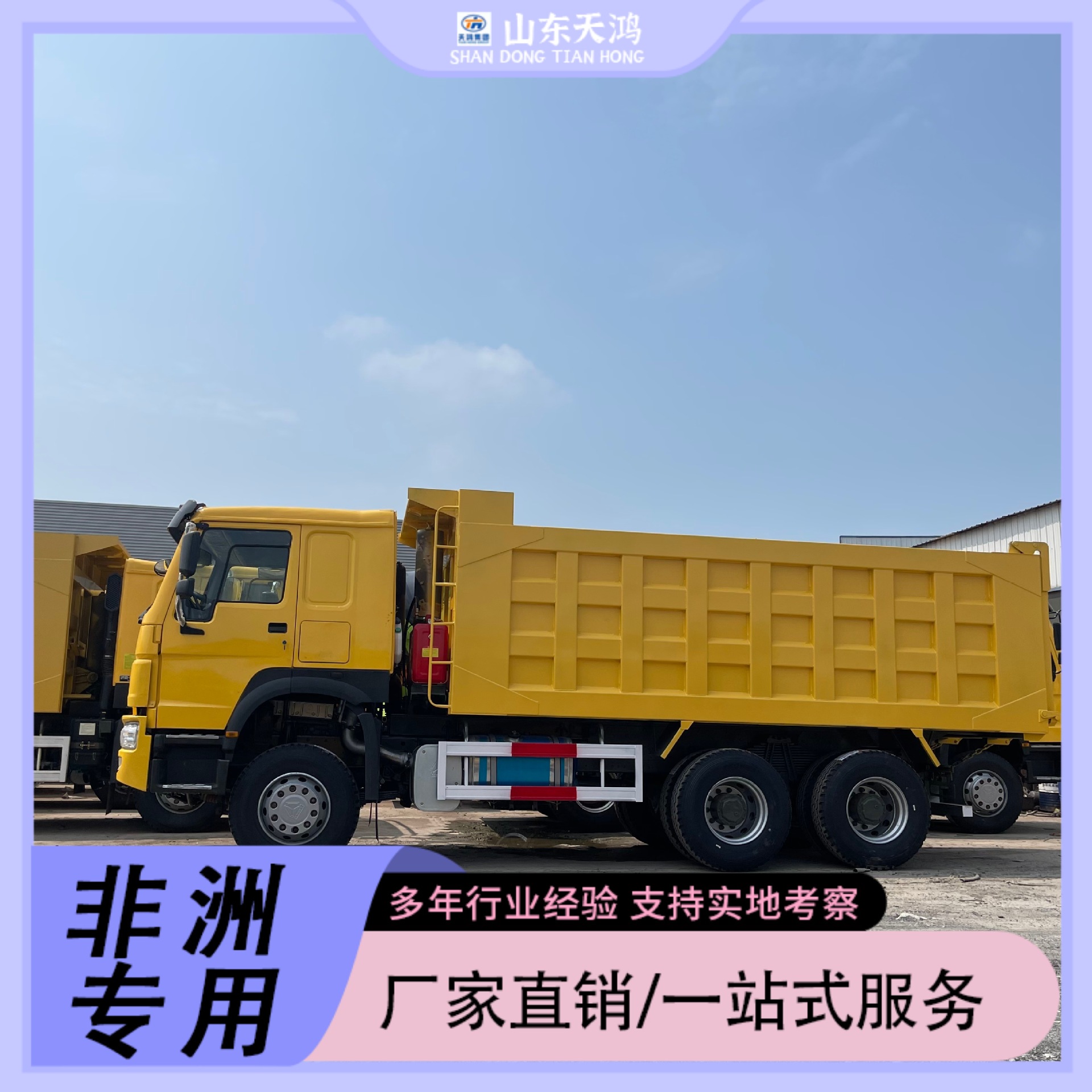Chinese Heavy-Duty Truck Howo Sinotruk Dump Truck Tractor Truck for Export Direct Sale to Africa Engineering Special Vehicles