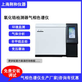 荆和 氧化锆检测器气相色谱仪 高纯惰性气体分析G51Pro色谱仪