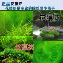�����rС�L�۳��z�儂ë�坍����ښ��r�����^�p�~���ش����^�p�r