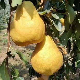 ���س��۳����� 2����������� �ڸ�ܛŴ������Y�������