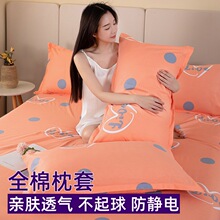 ��������һ���b100���^��đ���ļ��������^��48x74ȫ����о�׆���