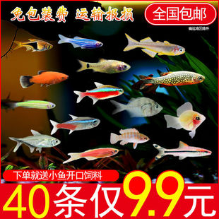 ��С�~�t�G���~С�͟���Ⱥ���~�Ꭷ�^�p�~��ɏ���~���w�~��ˮ���B