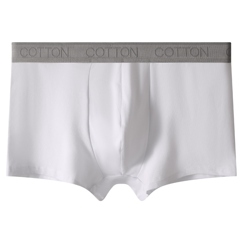 Pantalones interiores de algodón masculino 100% algodón antibacteriano de alta calidad pantalones cortos deportivos de ángulo plano de cuatro ángulos de algodón masculino