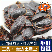 野山包邮金边土元虫土鳖虫地鳖虫土别干货散装无硫500g好货真