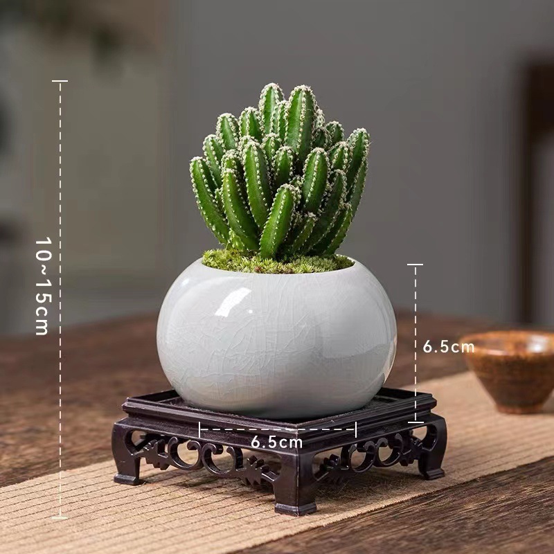 d6b3da39-b0c9-49d4-b6c6-d531bc725b3c.jpe