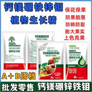 �}�V���\�FҺ���~�������Ԫ��Һ�w�ʴٻ������G�~�����}�V���\�F