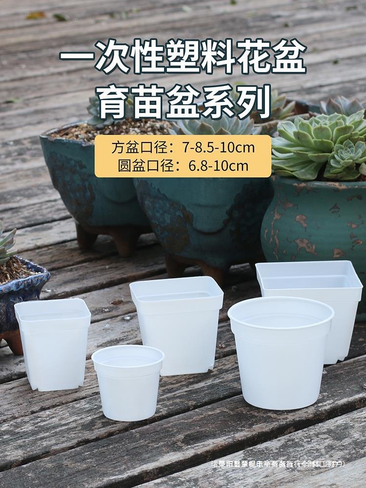 Disposable plastic white black thin flowerpot