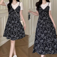 2025b¿ٽzƴ黨@L̿aBȹ