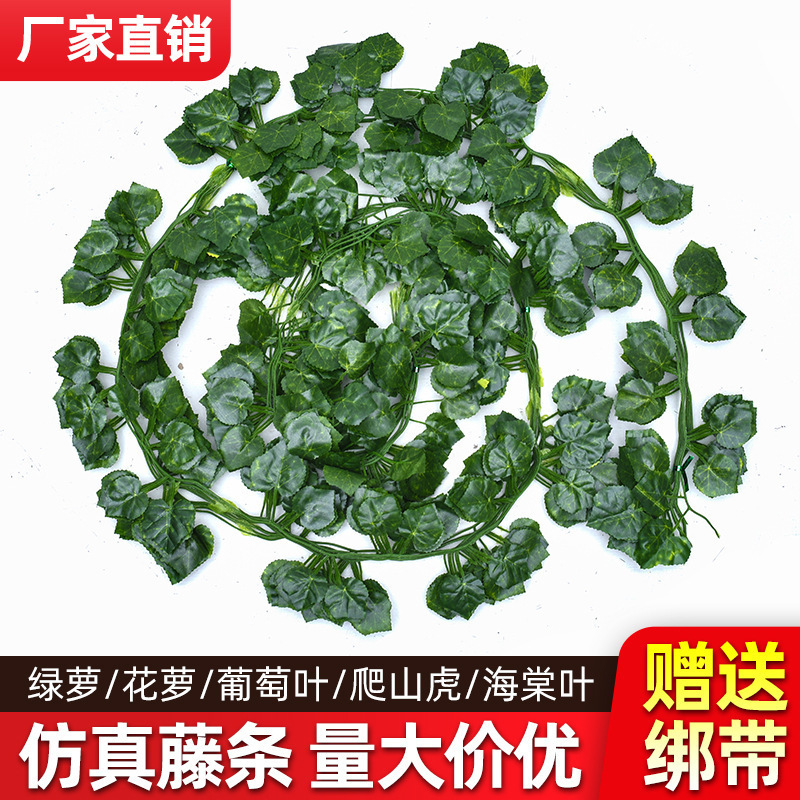 Craft Rattan Plant Rattan Simulation Green Leaf Decorative Rattan Wholesale Creeper Ivy Plant Wall Craft Rattan Plant Rattan Simulation Green Leaf Decorative Rattan Wholesale Creeper Ivy Plant Wall