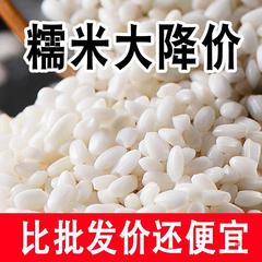 10斤5もち米新米香黒龍江東北粘米新白江米粘包ちまき卸売り