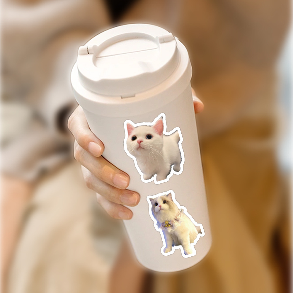 60 Pieces Of Realistic Kitten Stickers Cute Cat Cute Expression Creative Decorative Water Cup Notebook Journal Small Stickers display picture 1