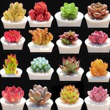 ֲԽM϶Ϙ¶ҵֲ҃ ļ